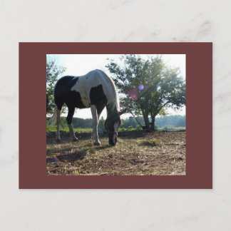 tarjeta postal breezysunbeams
