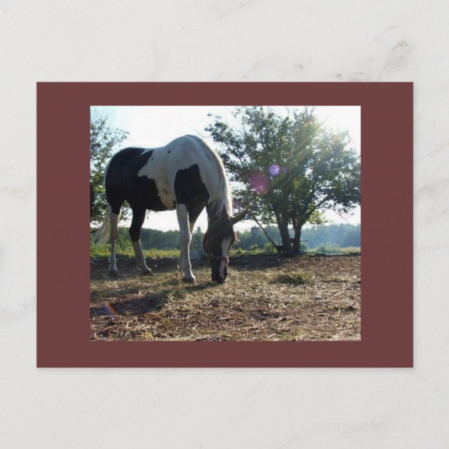 tarjeta postal breezysunbeams (Anverso)