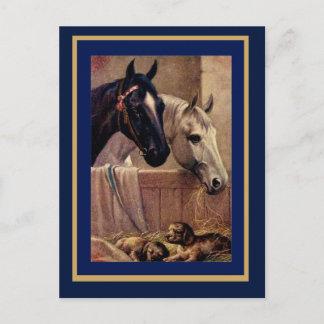 Tarjeta Postal Caballos Perros Antiguos