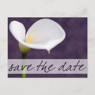 Tarjeta Postal Calla Lily para Guardar la Fecha