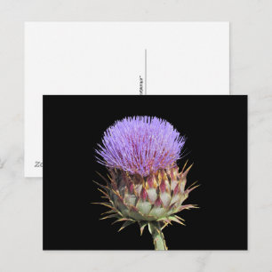 Tarjeta postal - Cardo