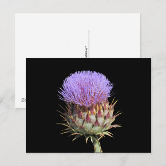 Tarjeta postal - Cardo