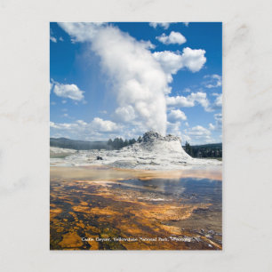 Tarjeta postal - Castle Geyser