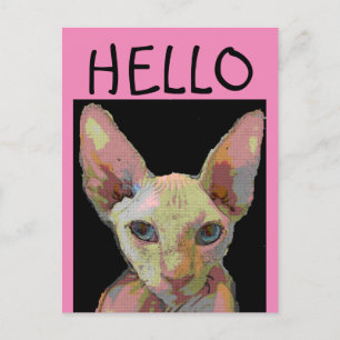 Tarjeta postal CAT HELLO SYPHNX HAIRLESS