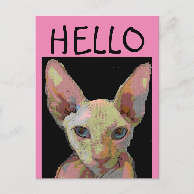 Tarjeta postal CAT HELLO SYPHNX HAIRLESS (Anverso)