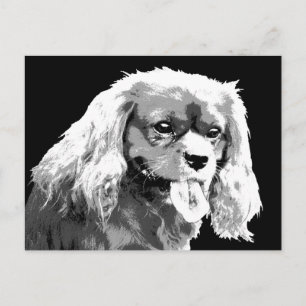Tarjeta postal Cavalier spaniel