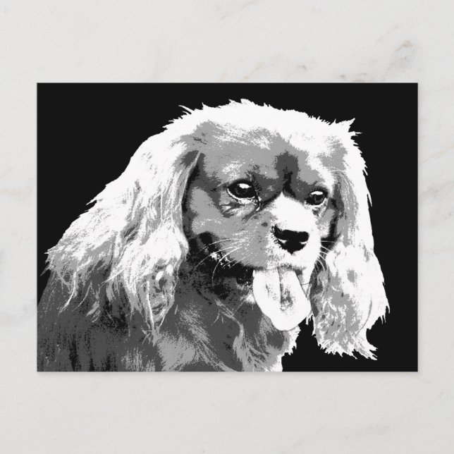 Tarjeta postal Cavalier spaniel (Anverso)