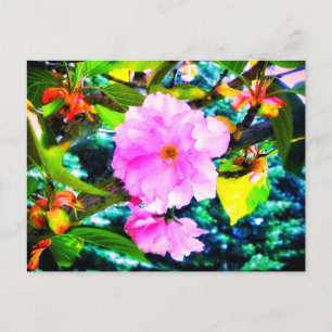 TARJETA POSTAL CHERRY BLOSSOMS