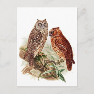 Tarjeta postal clásica de Ilustracion
