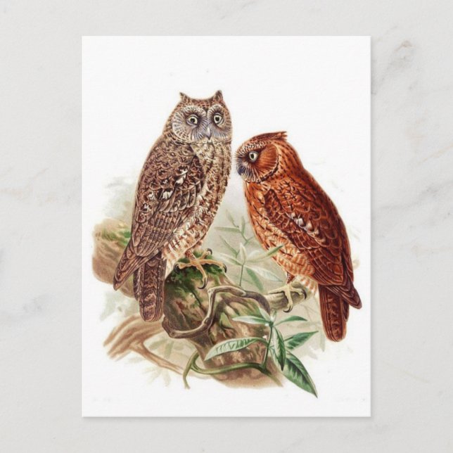 Tarjeta postal clásica de Ilustracion (Anverso)