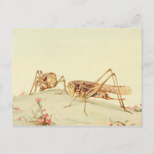 Tarjeta postal clásica de Ilustracion