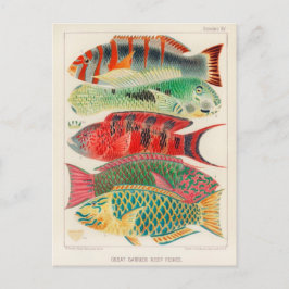 Tarjeta postal clásica de Ilustracion