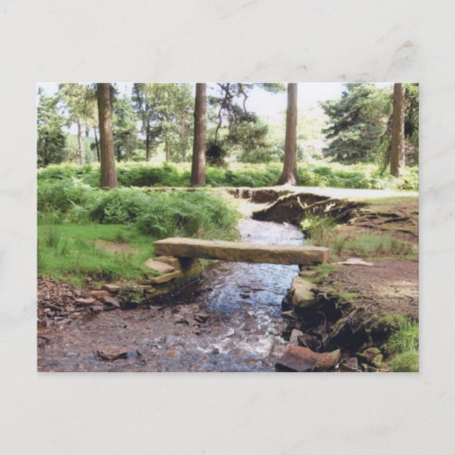 Tarjeta postal clásica de Ilustracion (Anverso)