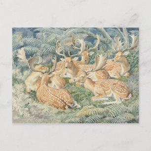 Tarjeta postal clásica de Ilustracion