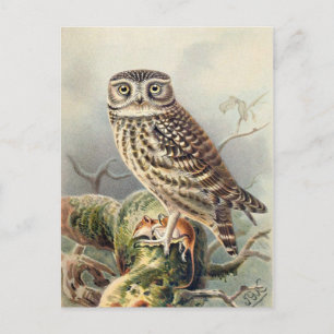 Tarjeta postal clásica de Ilustracion