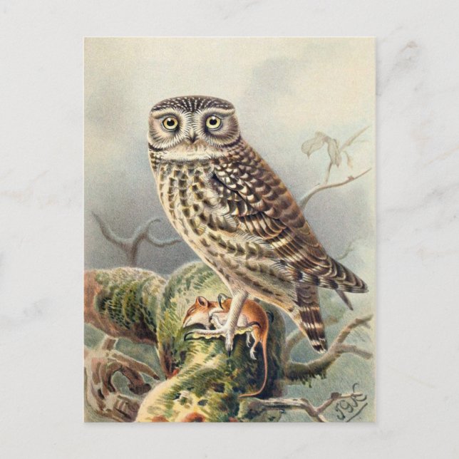 Tarjeta postal clásica de Ilustracion (Anverso)