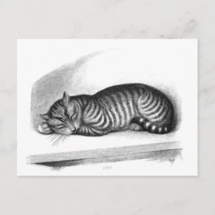 Tarjeta postal clásica de Ilustracion