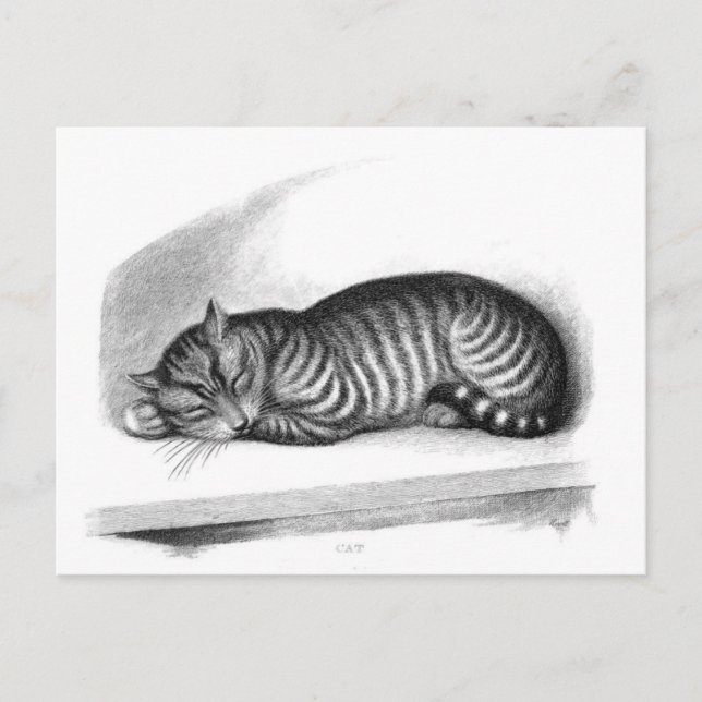 Tarjeta postal clásica de Ilustracion (Anverso)