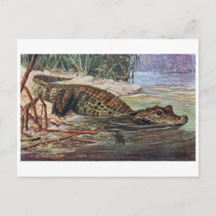 Tarjeta postal clásica de Ilustracion