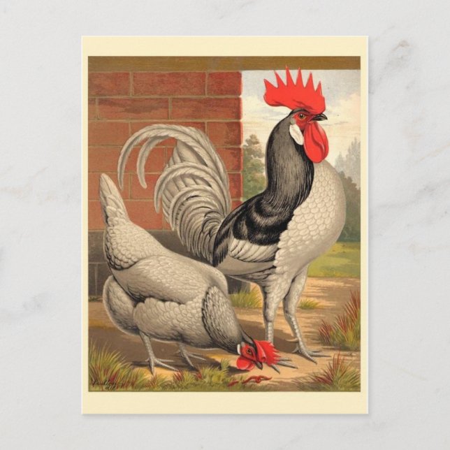Tarjeta postal clásica de Ilustracion (Anverso)