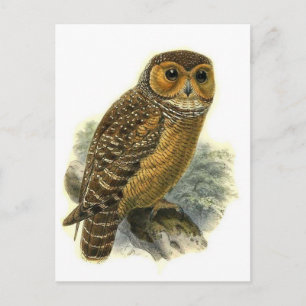Tarjeta postal clásica de Ilustracion