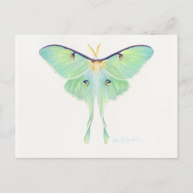 Tarjeta postal clásica de Ilustracion (Anverso)