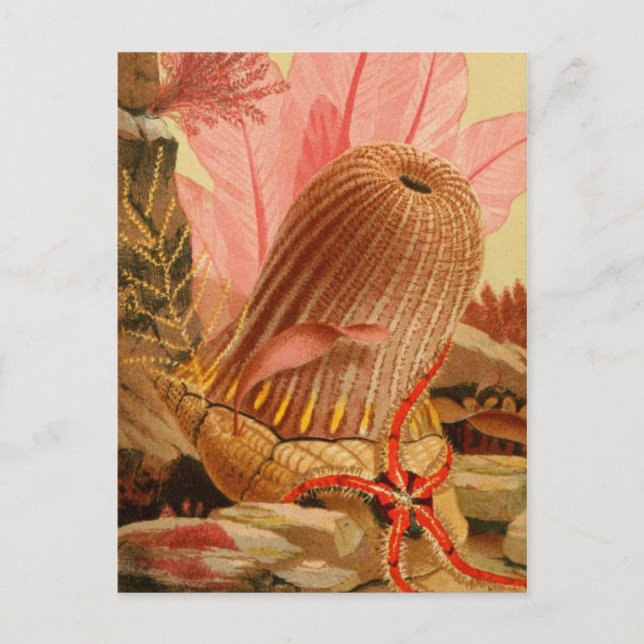 Tarjeta postal clásica de Ilustracion (Anverso)