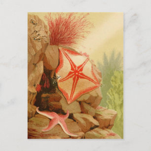 Tarjeta postal clásica de Ilustracion