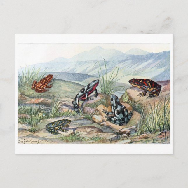 Tarjeta postal clásica de Ilustracion (Anverso)