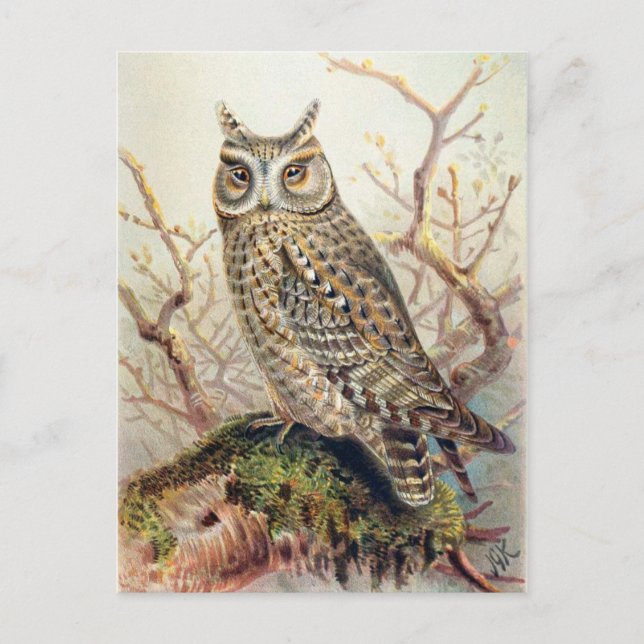 Tarjeta postal clásica de Ilustracion (Anverso)