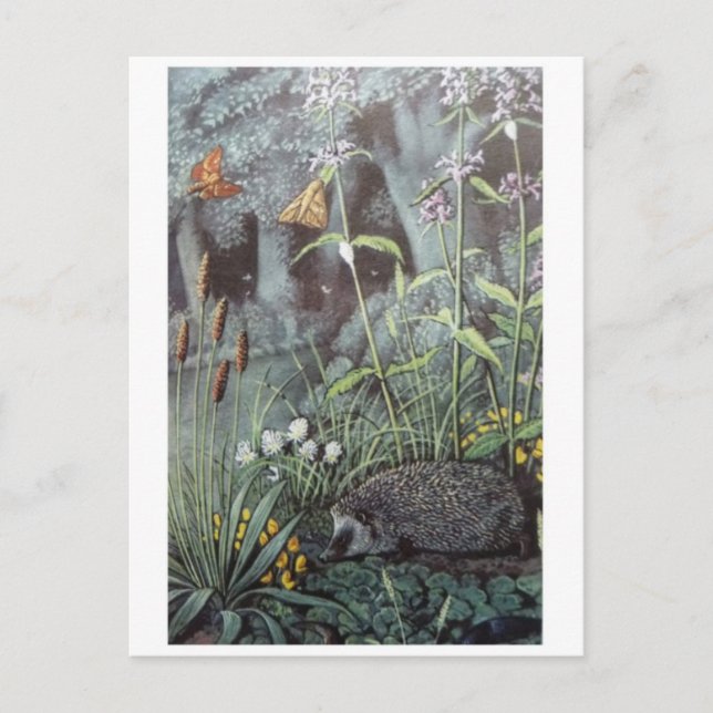 Tarjeta postal clásica de Ilustracion (Anverso)