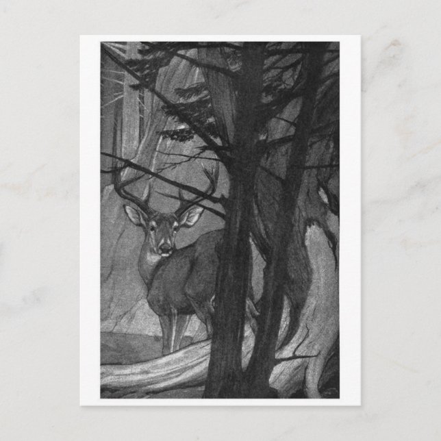 Tarjeta postal clásica de Ilustracion (Anverso)