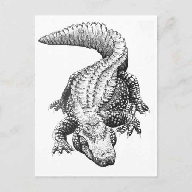 Tarjeta postal clásica de Ilustracion (Anverso)