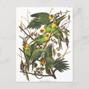 Tarjeta postal clásica de Ilustracion