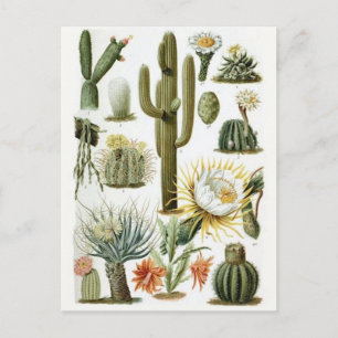 Tarjeta postal clásica de Ilustracion