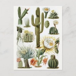 Tarjeta postal clásica de Ilustracion