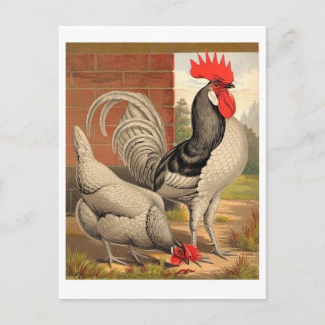 Tarjeta postal clásica de Ilustracion (Anverso)