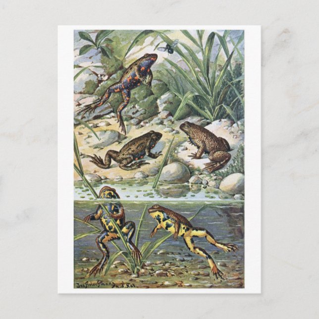 Tarjeta postal clásica de Ilustracion (Anverso)