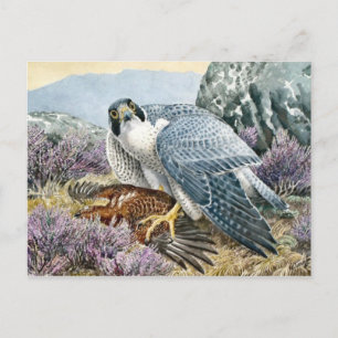 Tarjeta postal clásica de Ilustracion
