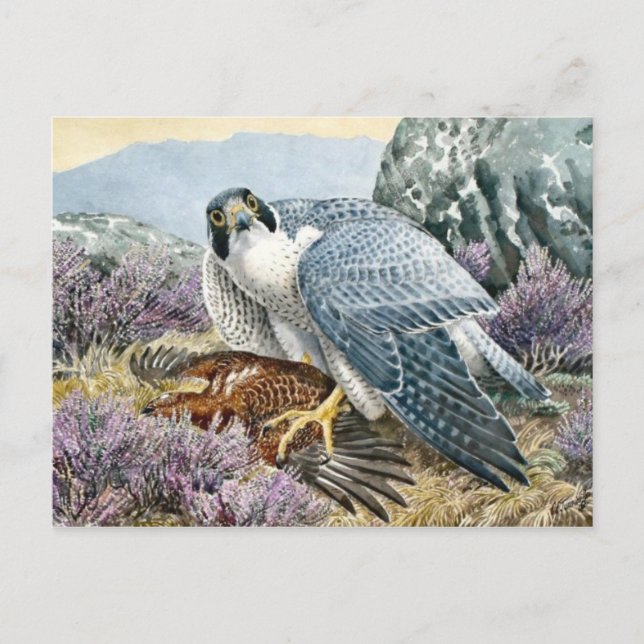 Tarjeta postal clásica de Ilustracion (Anverso)