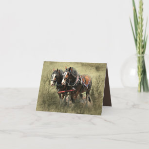 Tarjeta postal Clydesdale vieja y meteorada