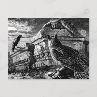 Tarjeta postal Companion to owls