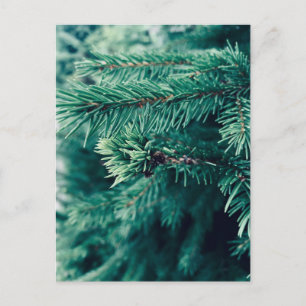 Tarjeta postal con árbol de Navidad