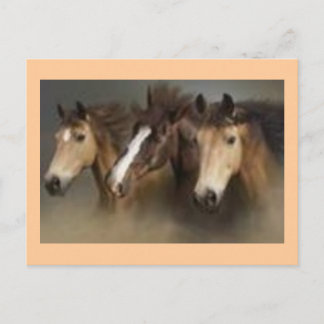 Tarjeta postal con caballos