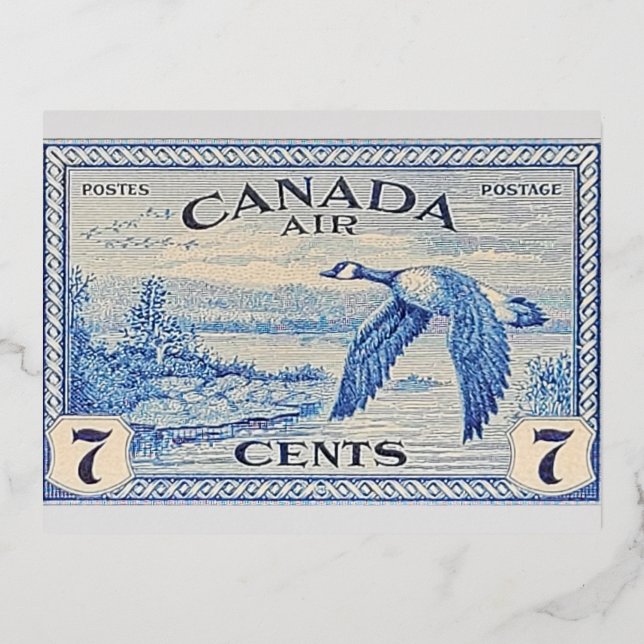 Tarjeta postal con lámina de ganso de Canadá (Anverso)