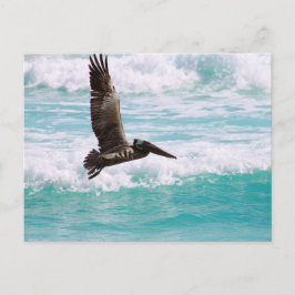 Tarjeta postal con pelícano volando contra el agua
