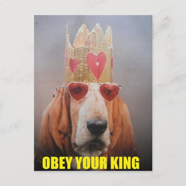 Tarjeta Postal Con Rey Basset Hound (Anverso)