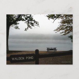 Tarjeta postal contemplativa Walden Pond