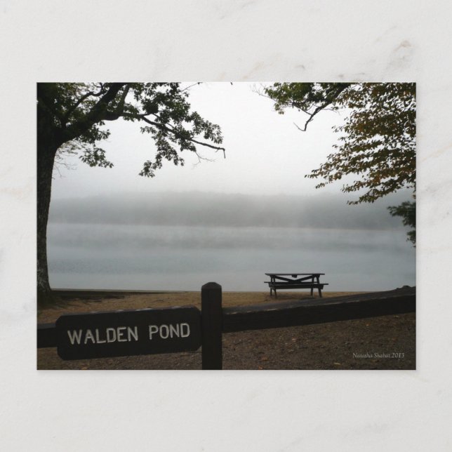 Tarjeta postal contemplativa Walden Pond (Anverso)