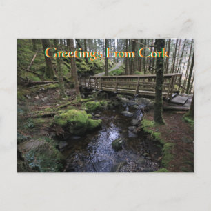 Tarjeta postal Cork Ireland